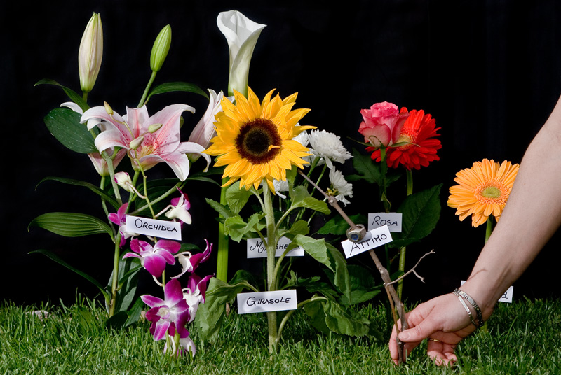 Dal Contest Carpe Diem