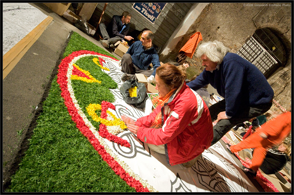 Disegnando coi fiori... costruzione dell'Infiorata