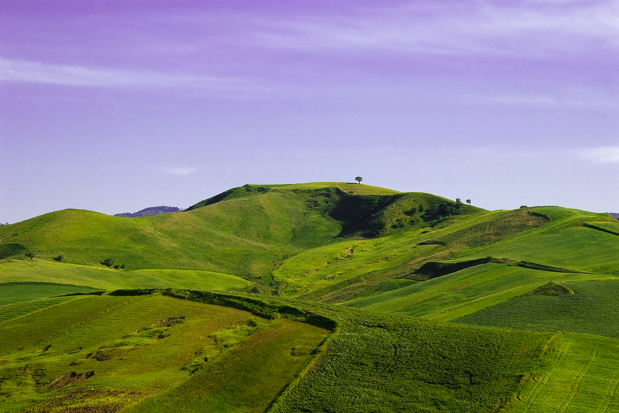 Sicily landscape III