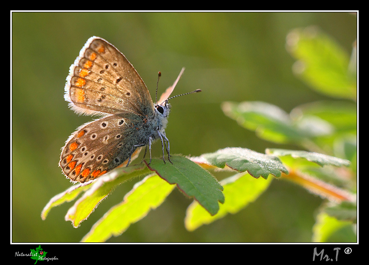 Mi scaldo con l'ultimo sole