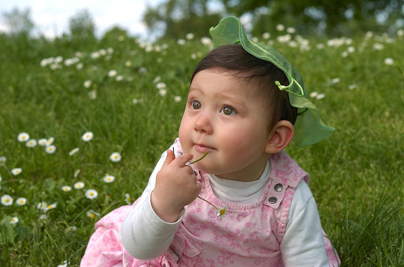 Sofia giardini......