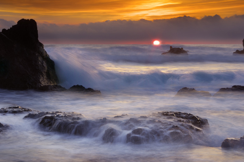 Carpe diem (Contest n. 33)