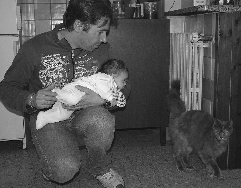 Pap� mi � palso di avele visto un gatto!
