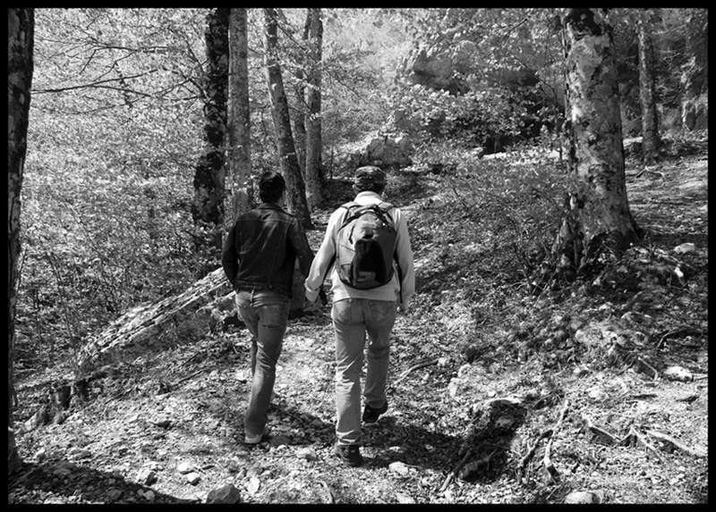 Intraprendere un cammino (2)