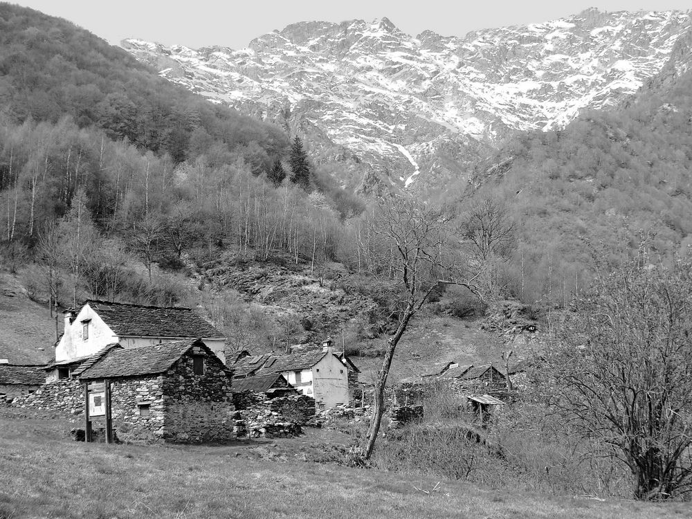 Pogallo - Parco della Val Grande