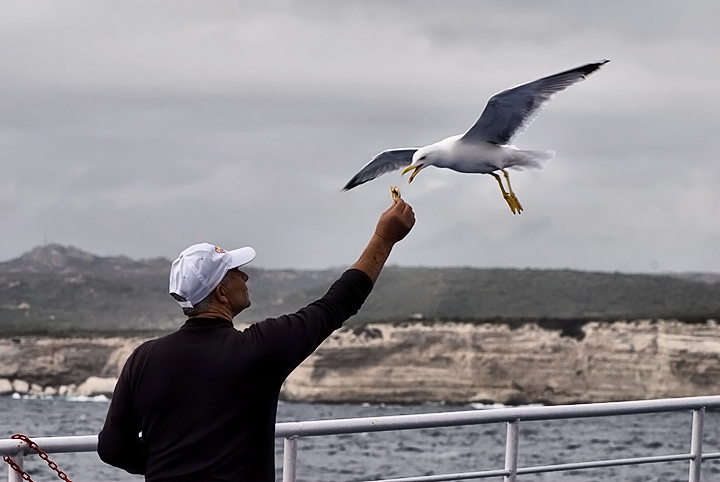 Da Santa Teresa a Bonifacio#1