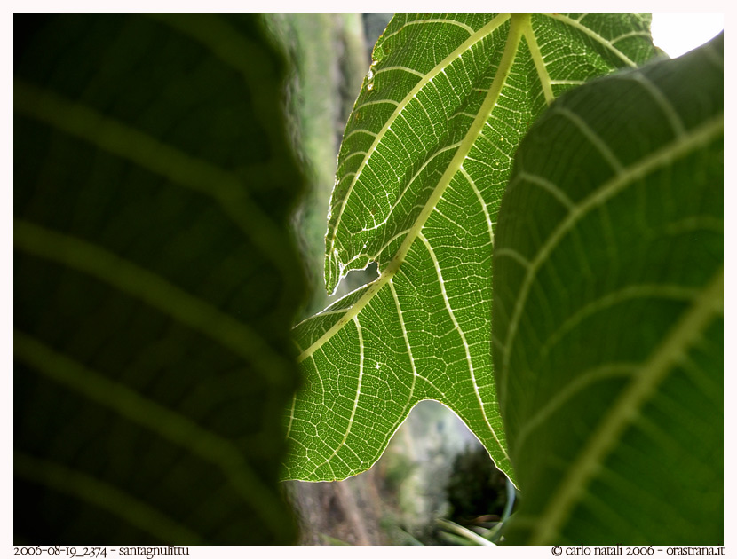 2006-08-19_2374 - sant'agnul�ttu