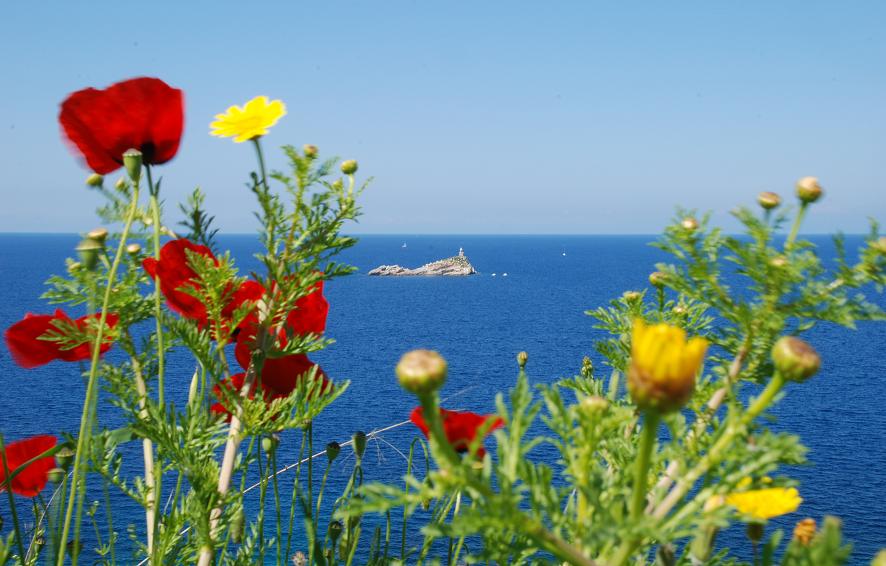 Isola d'Elba - Lo Scoglietto