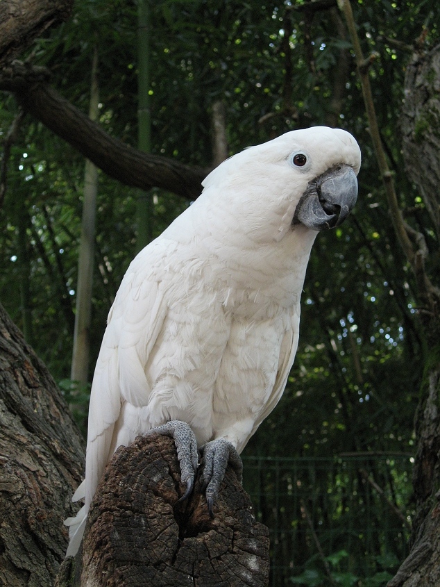 "E tu che guardi??" (sembra dire...)