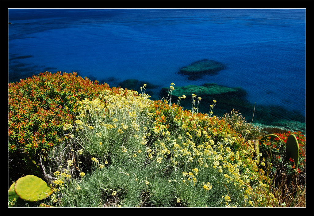 il canto delle sirene