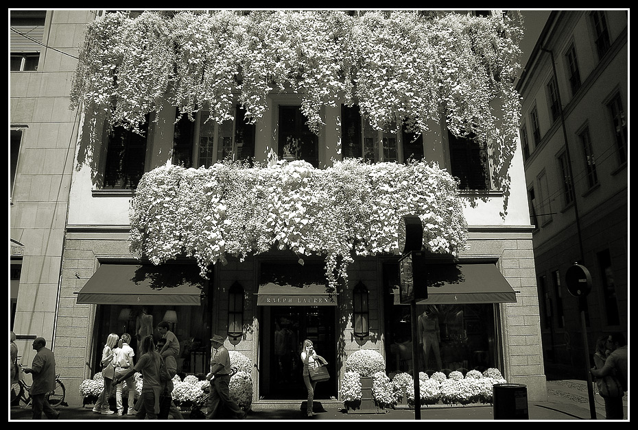 Via Montenapoleone n.4 (gruppo street, 6 raduno NSF)