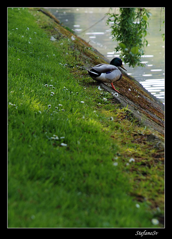 controlliamo se si scivola...