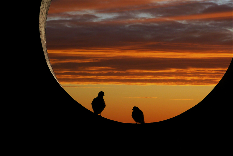 Forza, � ora di svegliarsi!