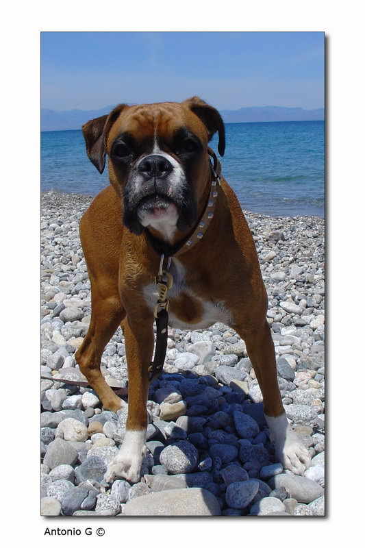 Annusa l'obiettivo...