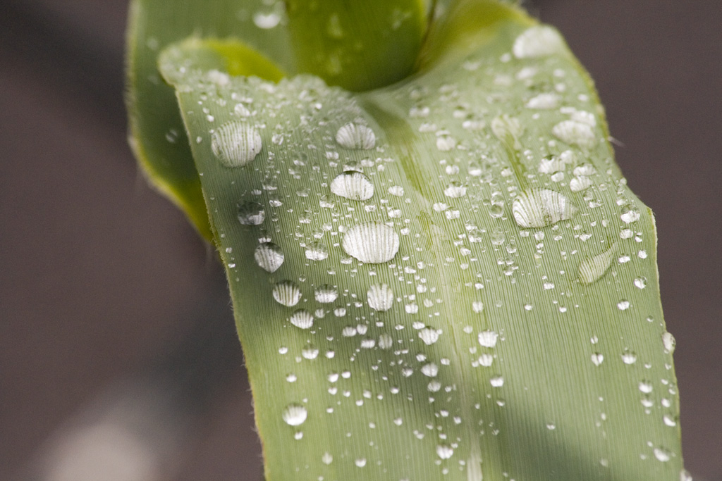 Ricordo di un temporale