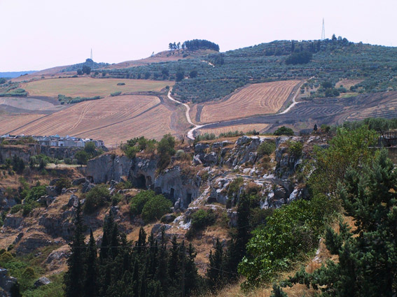 gravina