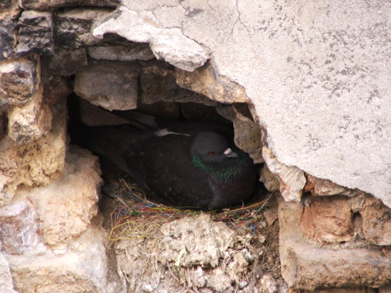 Ecco lo zoom FujiS5500 in azione!