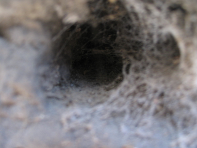 la porta dell'infinito