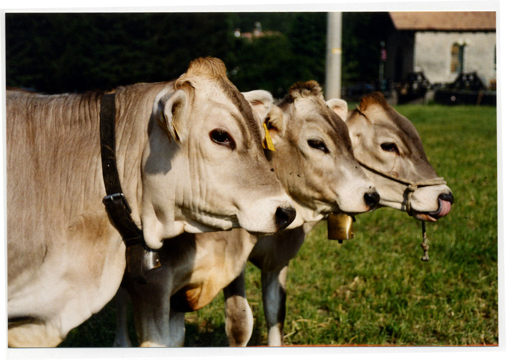 1..2...3....Click !!!