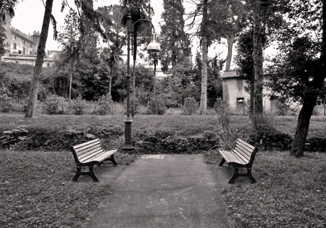 In un angolo del parco