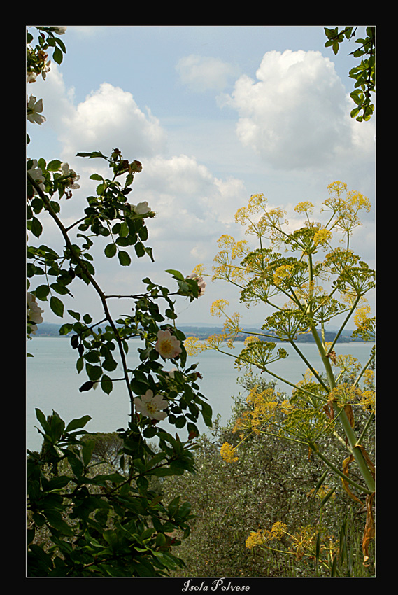 Isola Polvese2-Trasimeno