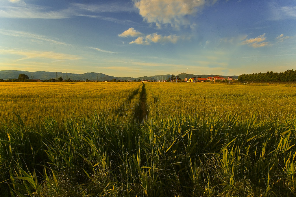 I  confini della citta
