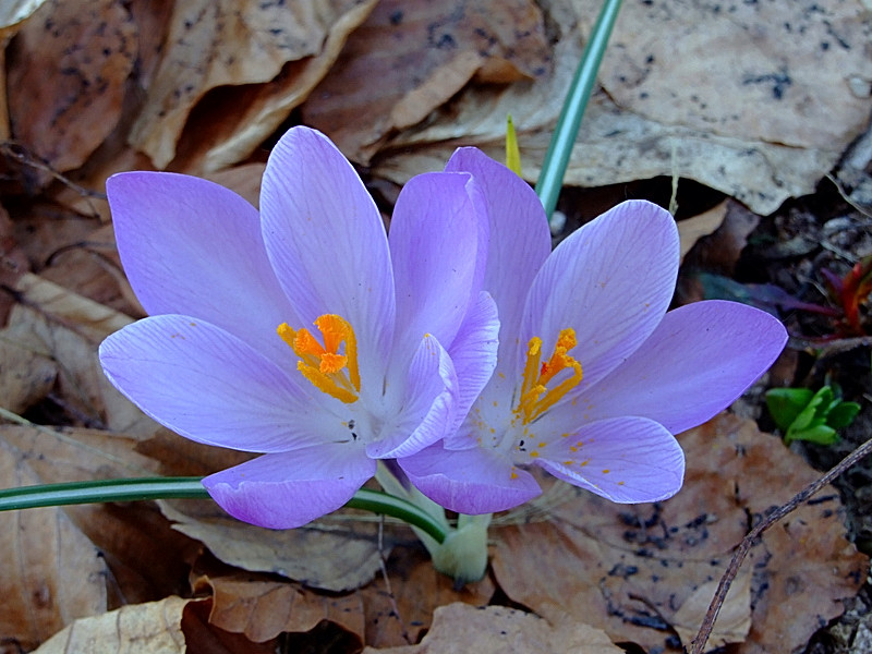 E' finito l'inverno...
