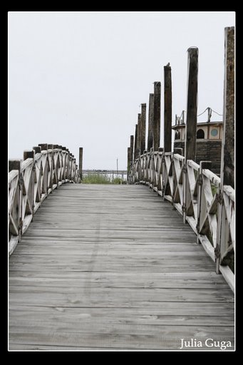 il ponte