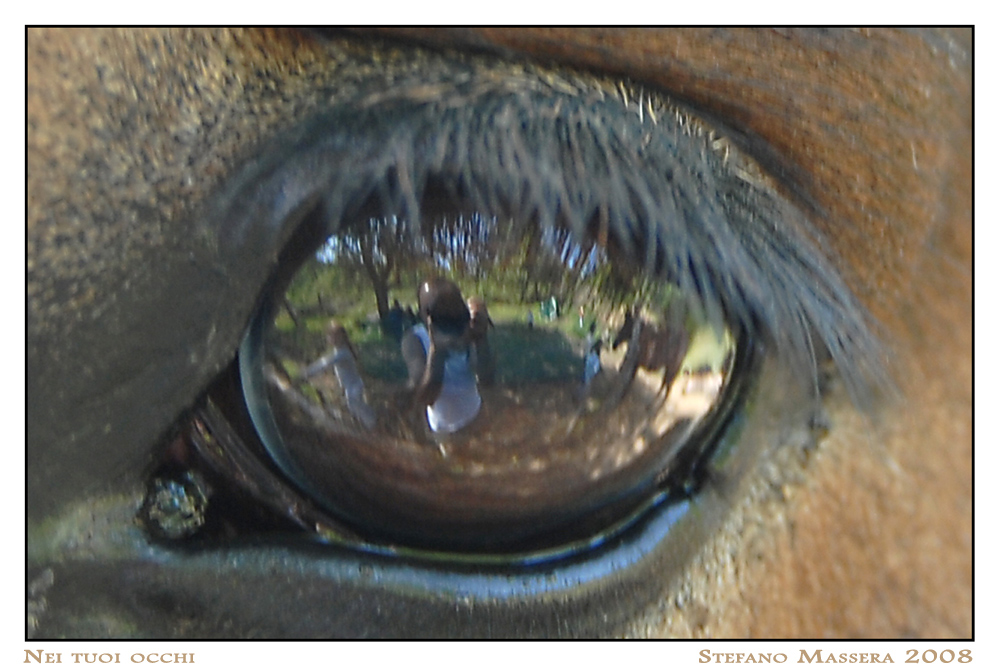:: Nei tuoi occhi ::