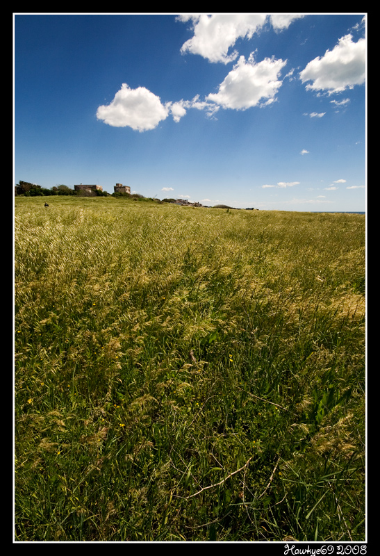 casa nella prateria #2