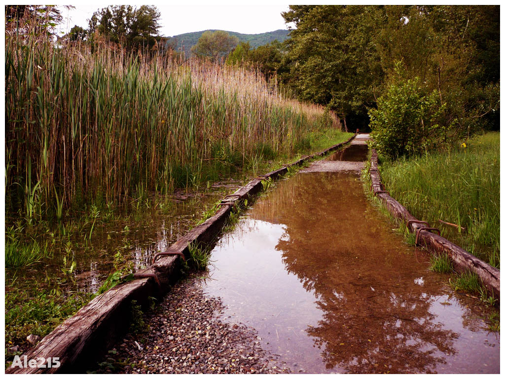 Lago di endine #2