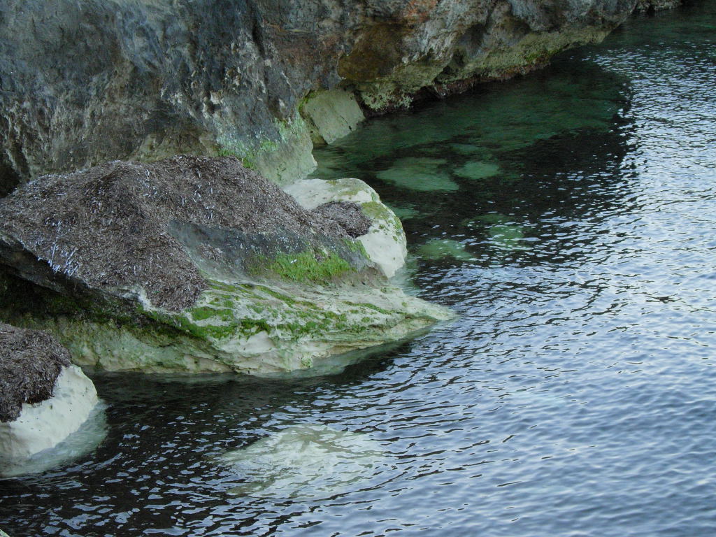 piccolo angolo di paradiso