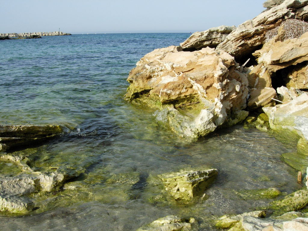 ...un piccolo segreto.