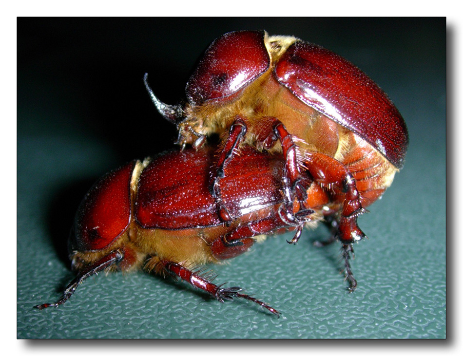 commentate questa foto che mi ha inviato mio cugino :-)   :-)