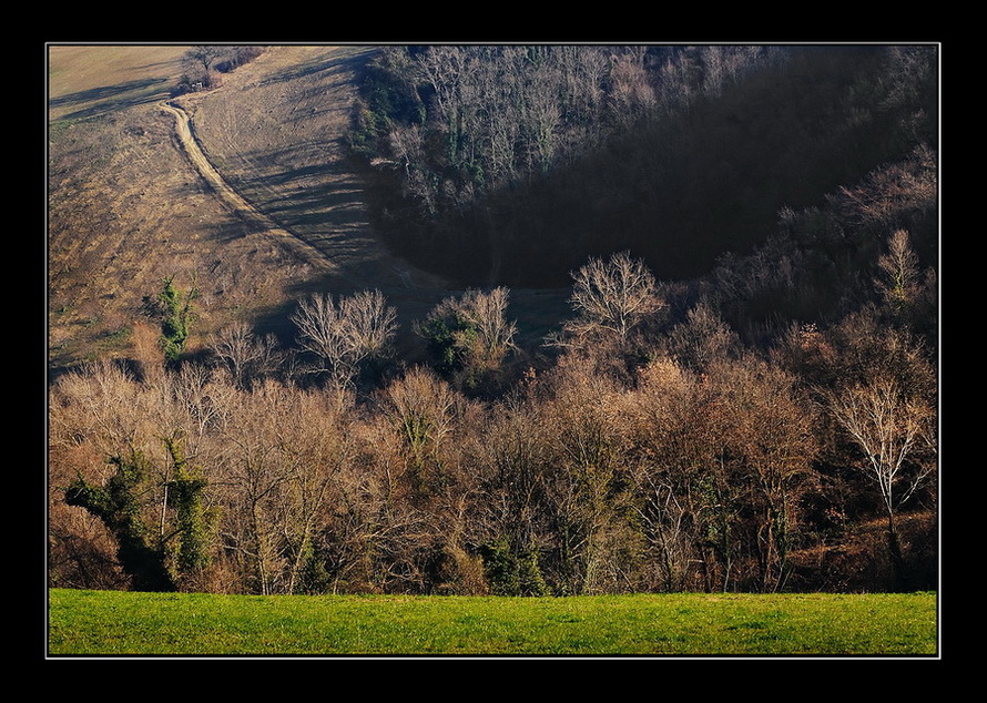 Luci e ombre in collina