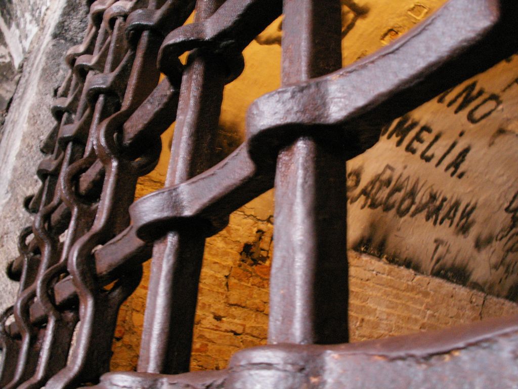 Ricordi di libert�