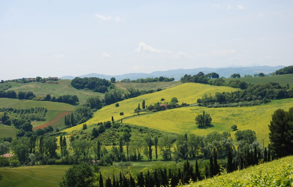 Paesaggio