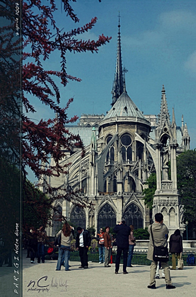 Fotografando Notre Dame