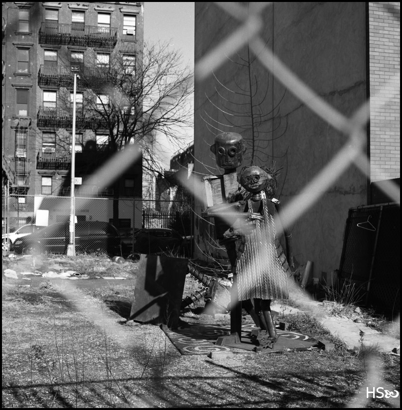 My strange family in NY