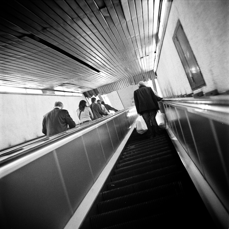 Y24-metropolitana_01