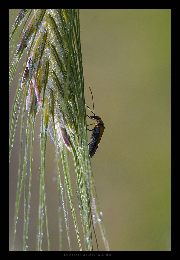 quanto � dura la salita