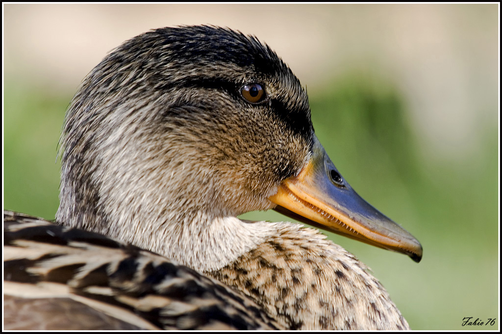 Sguardo nel vuoto