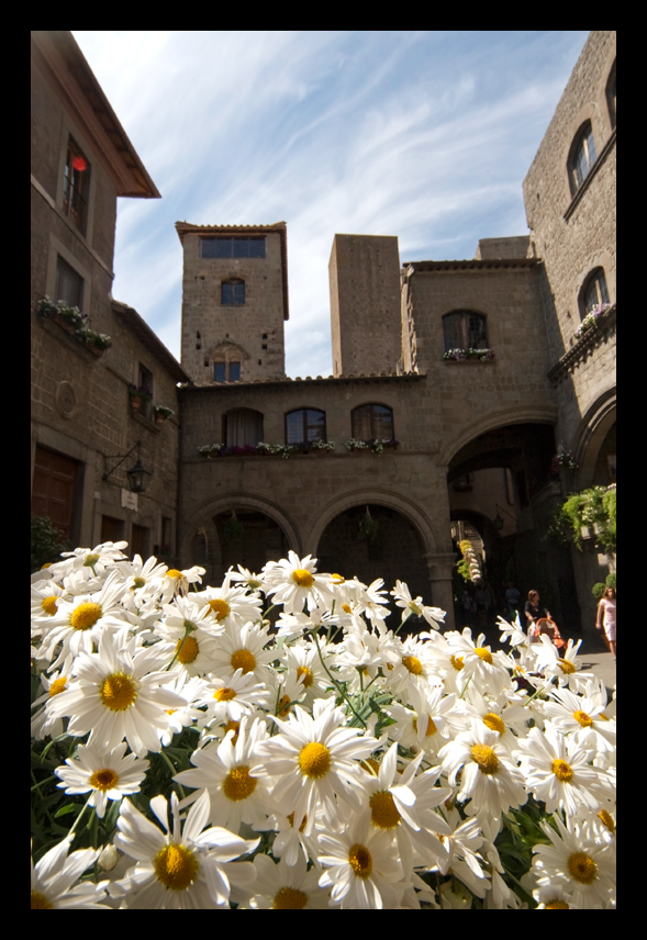 Viterbo in fiore