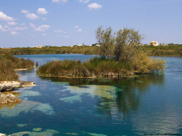 La Palude del Capitano