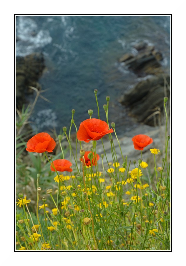 La Primavera ed il Mare