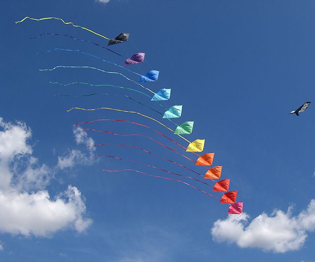 Aquiloni acrobatici 2