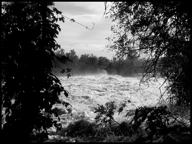 LA SPAVENTOSA FORZA della NATURA