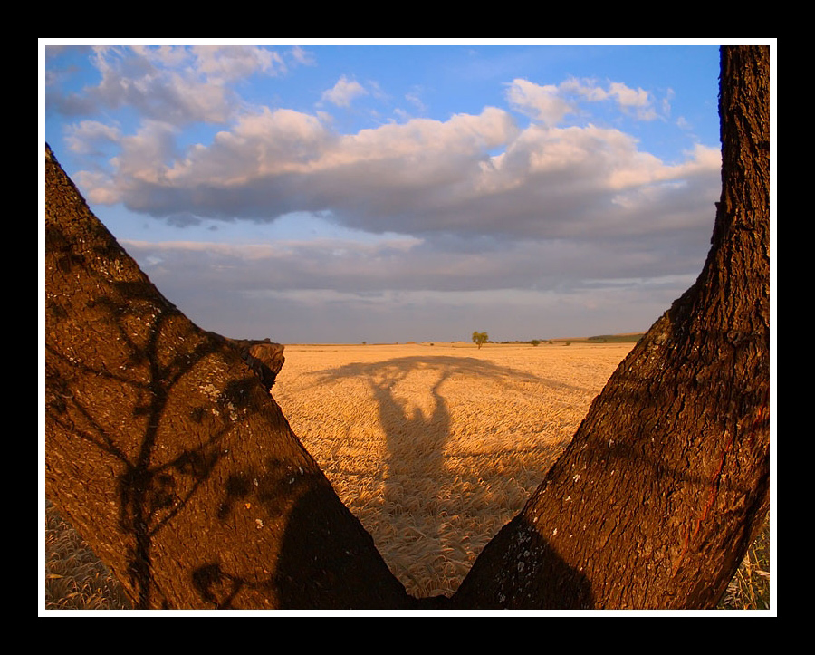 ...Uno sguardo sulla natura...
