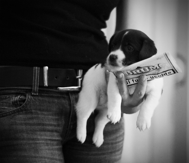 La donna, il vizio, la virt� sospesa