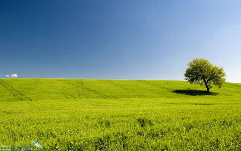 Lazio country colors